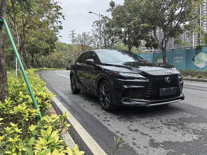 Фото 3 - Lexus RX