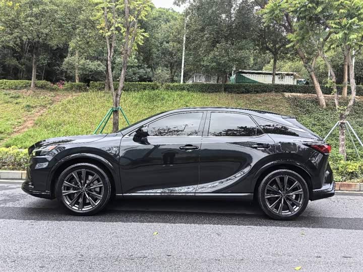 Фото 4 - Lexus RX