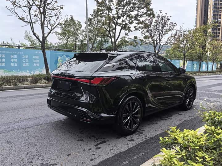 Фото 5 - Lexus RX