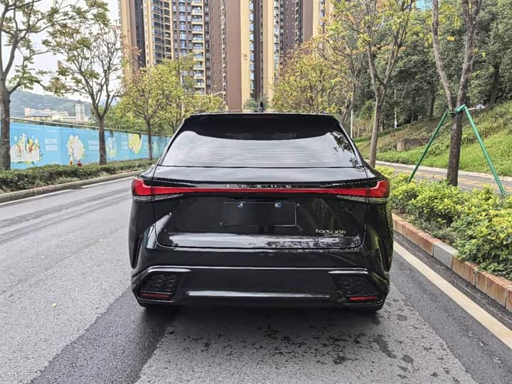 Фото 6 - Lexus RX