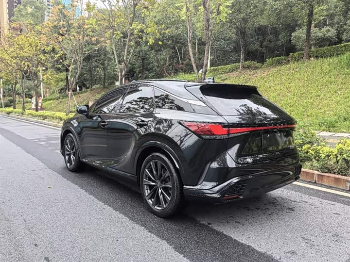 Фото 7 - Lexus RX