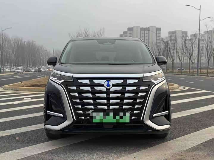 Фото 2 - Denza D9