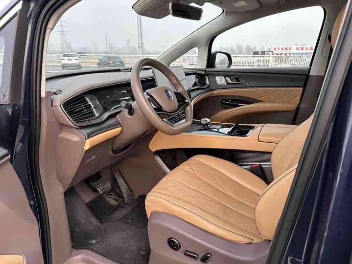 Фото 6 - Denza D9