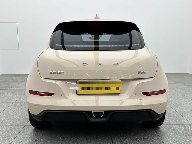 Фото 5 - Ora Good Cat (03)