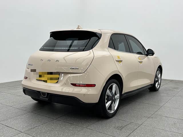 Фото 6 - Ora Good Cat (03)