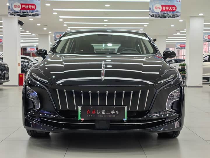 Photo 2 - Hongqi E-QM5