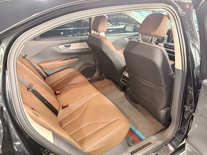 Photo 5 - Hongqi E-QM5