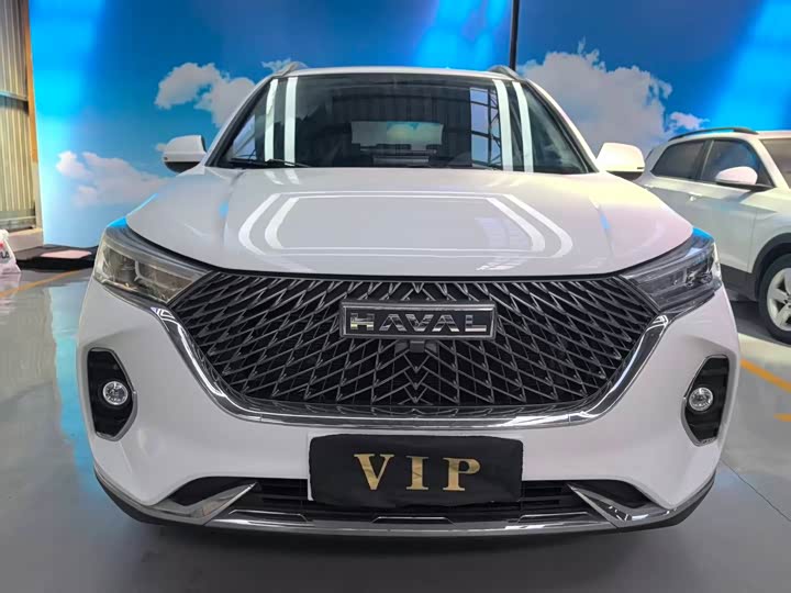 Фото 2 - Haval M6