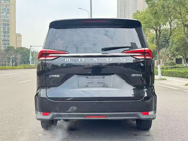 Фото 5 - Maxus G50