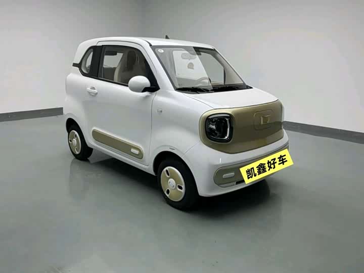 Photo 3 - Bestune Pony