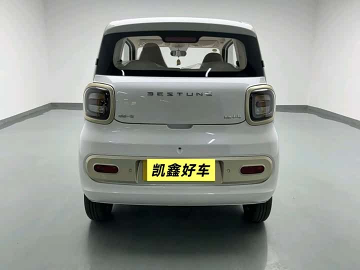 Photo 5 - Bestune Pony