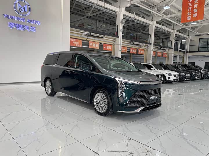 Фото 6 - Buick GL8 Century