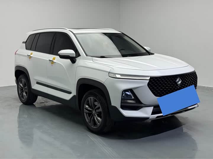 Фото 3 - Baojun RS-5