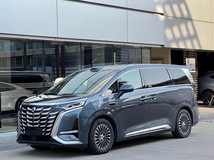 Фото 1 - Denza D9