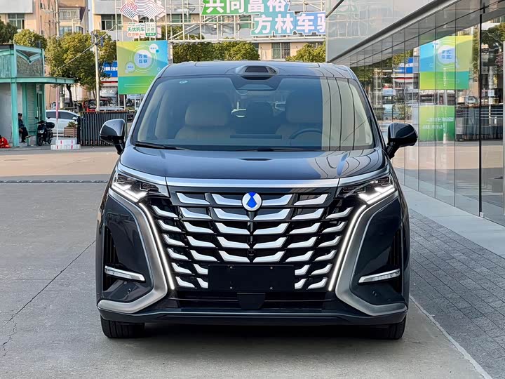 Фото 2 - Denza D9