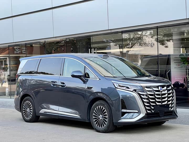 Фото 3 - Denza D9