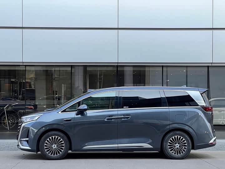 Фото 4 - Denza D9