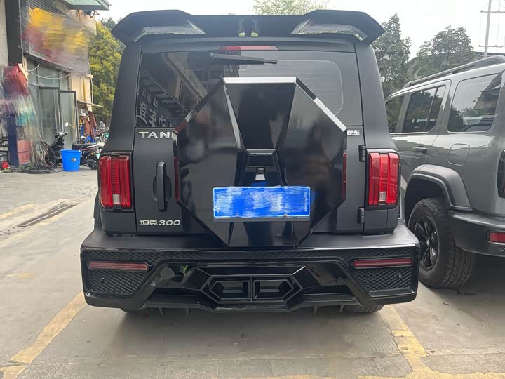 Фото 8 - Tank 300