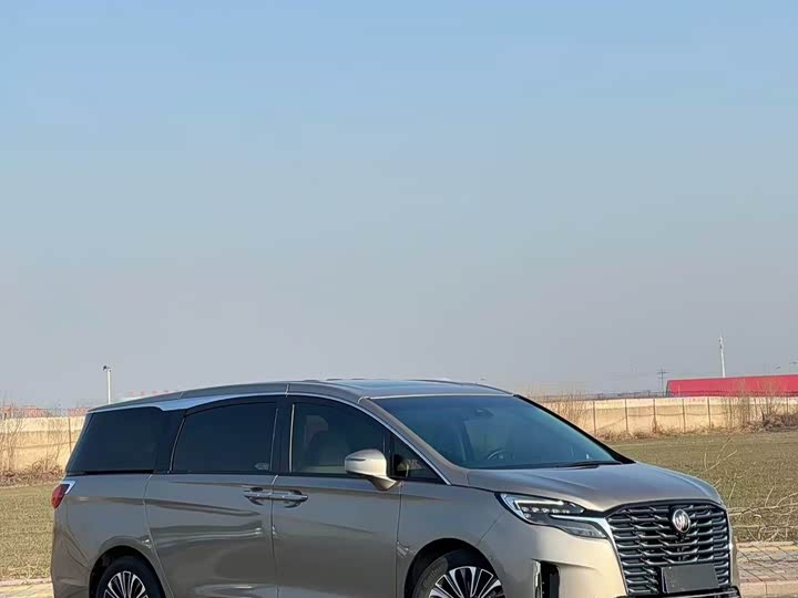 Фото 1 - Buick GL8 ES