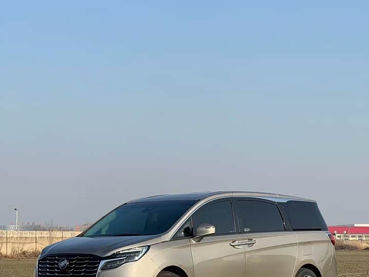 Фото 3 - Buick GL8 ES