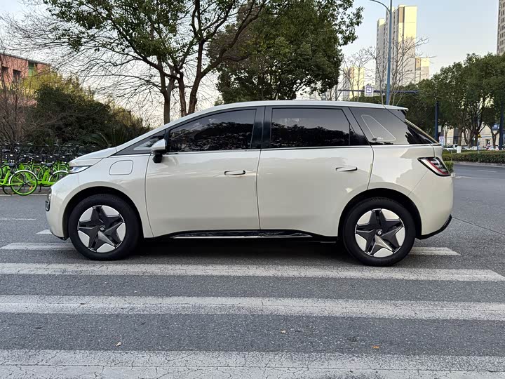 Фото 4 - Baojun Yunduo