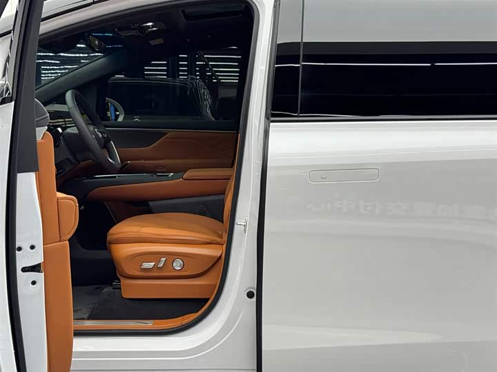 Фото 6 - Buick OMPV