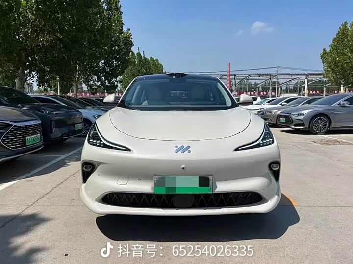 Фото 2 - IM motors LS6