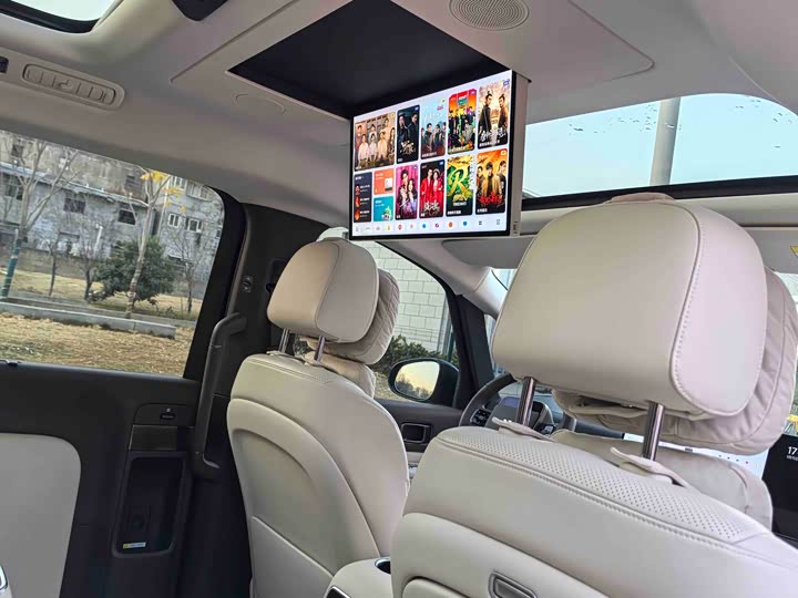 Photo 8 - LiXiang Mega