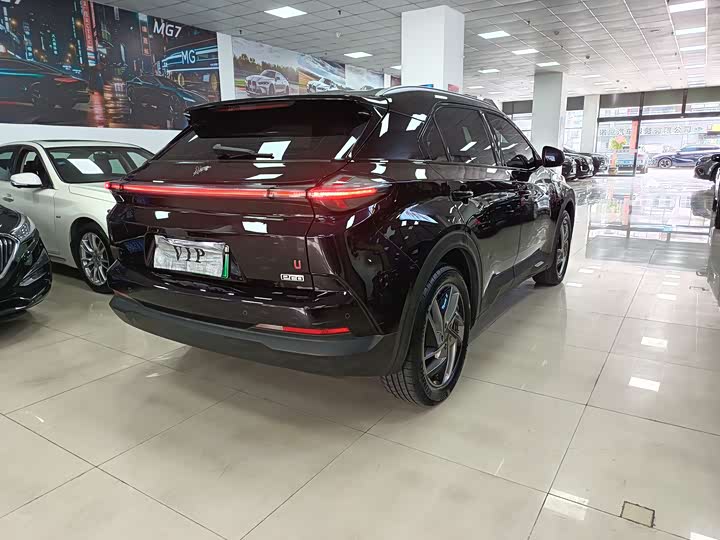 Фото 8 - Hozon U