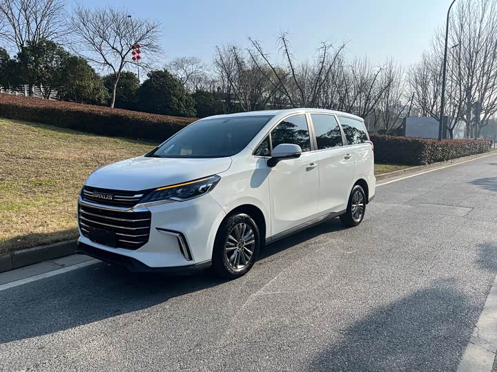 Фото 1 - Maxus G50