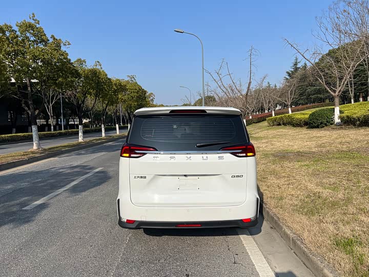 Фото 5 - Maxus G50