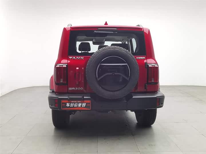 Фото 4 - Tank 300