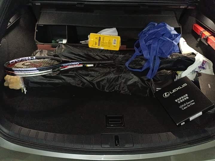 Фото 4 - Lexus RX