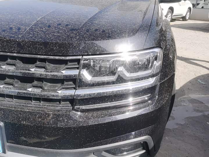 Фото 5 - Volkswagen Teramont Pro