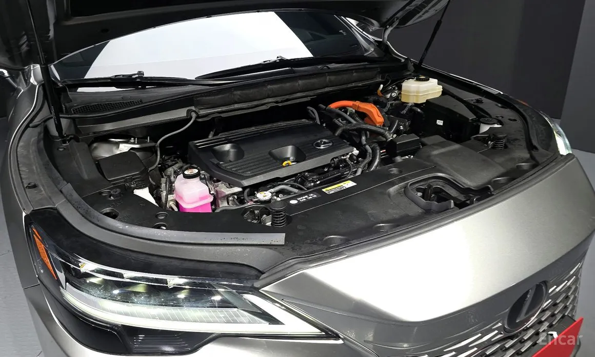 Lexus RX 2023 Luxury