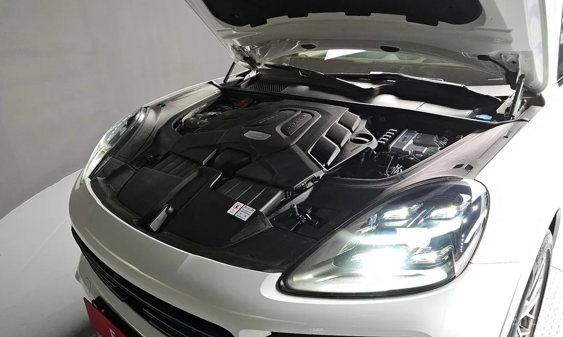 Porsche Cayenne 2019 3.0 PLATINUM EDITION