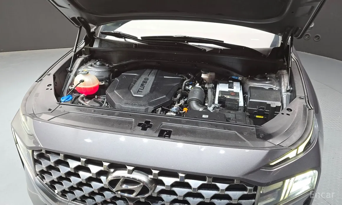 Фото 6 - Hyundai Santa Fe
