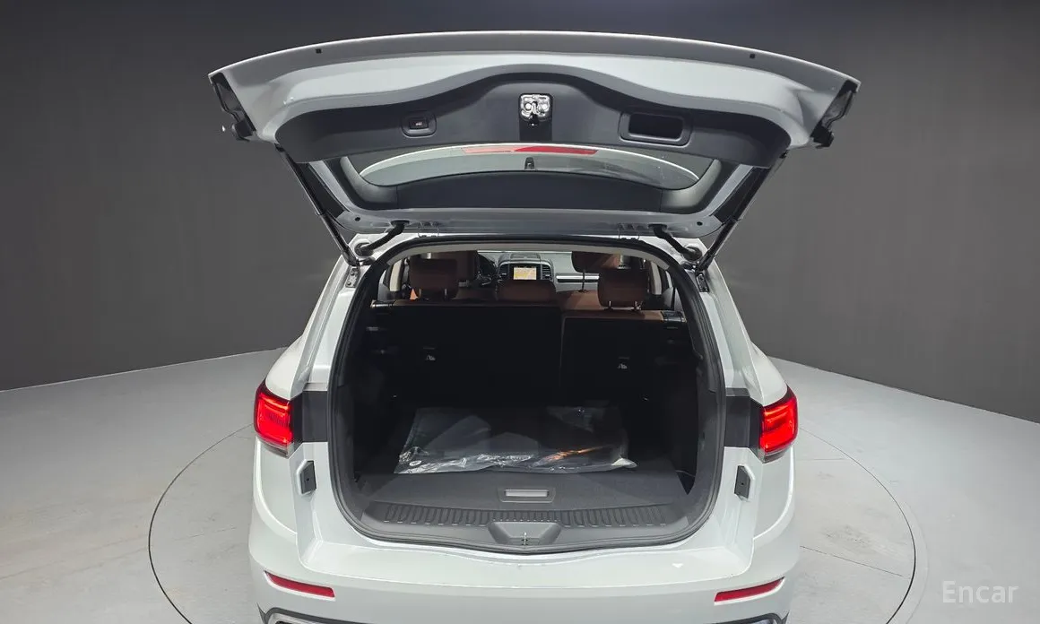 Фото 20 - Renault QM6