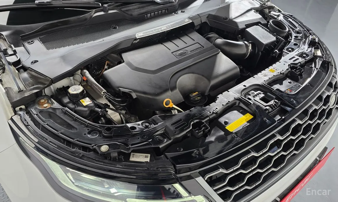 Land Rover Range Rover Evoque 2019 P250 R-Dynamic SE