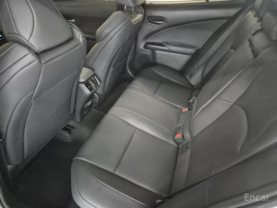 Lexus UX 2024 2.0 F-Sport 2WD