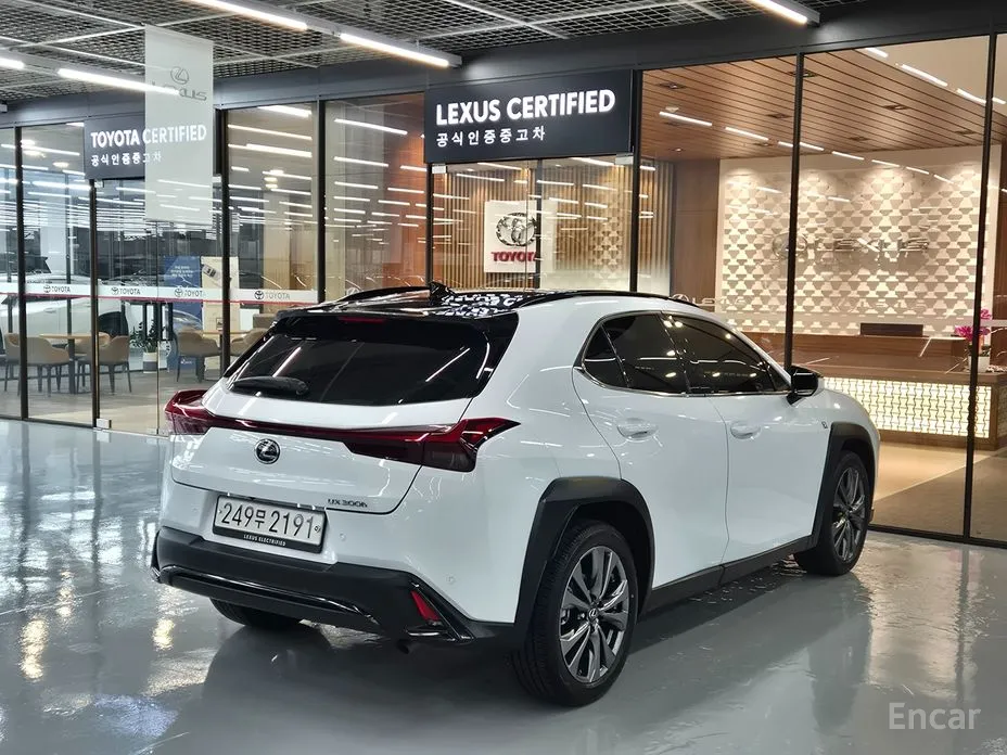 Lexus UX 2024 2.0 F-Sport 2WD