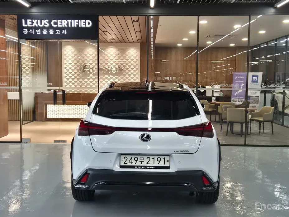 Lexus UX 2024 2.0 F-Sport 2WD
