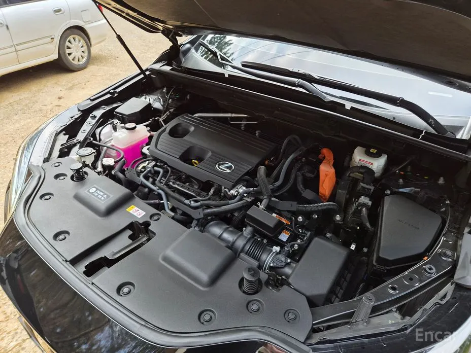 Lexus NX 2022 Premium