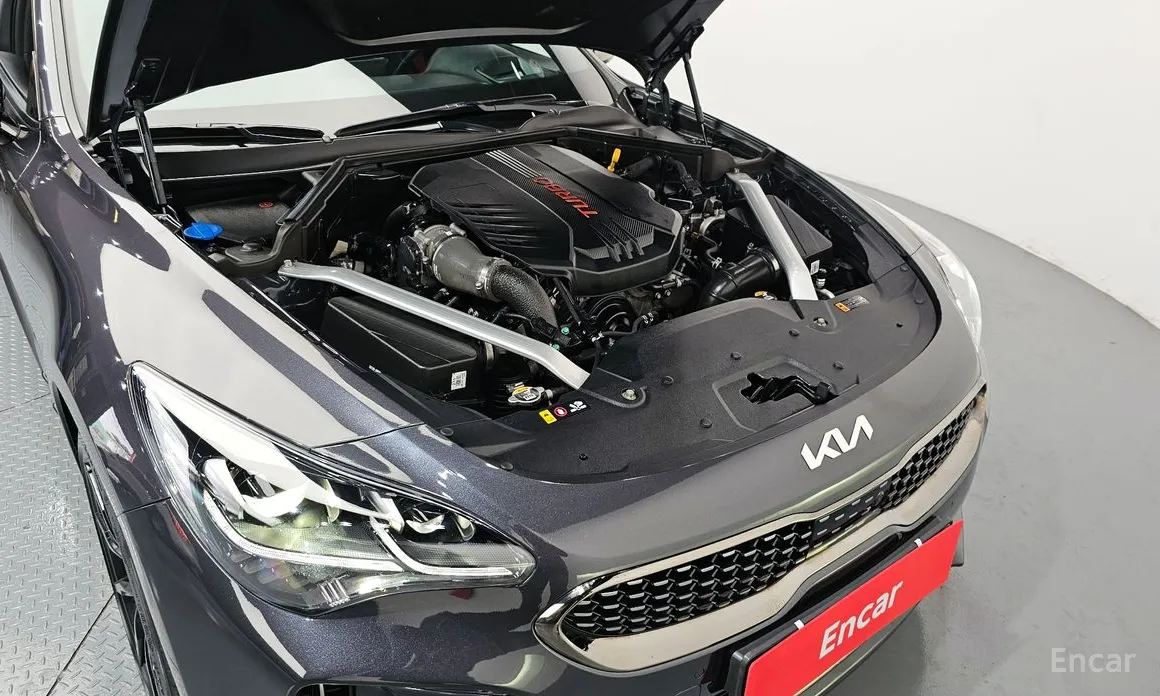 Фото 6 - Kia Stinger