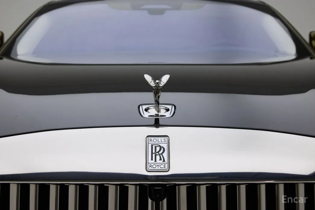 Фото 18 - Rolls-Royce Spectre