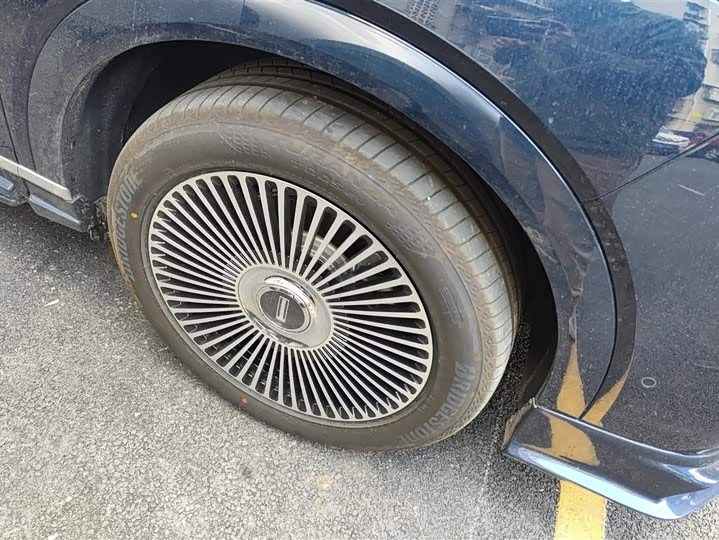 Фото 6 - Wey Lanshan