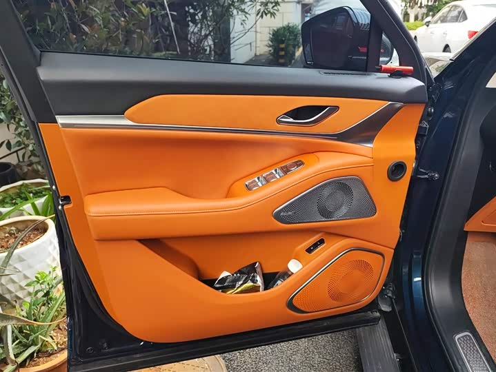 Фото 7 - Wey Lanshan