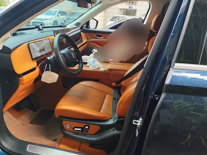 Фото 9 - Wey Lanshan