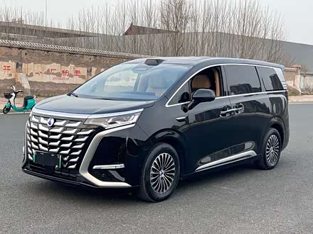 Фото 1 - Denza D9