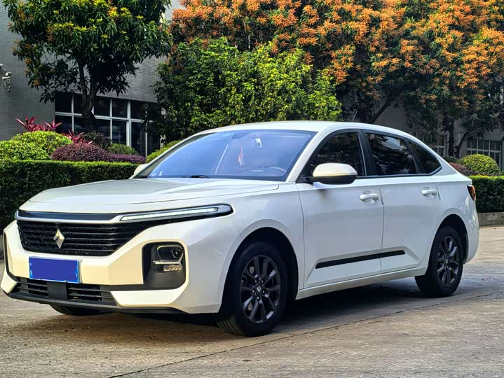 2020 Baojun RC-5